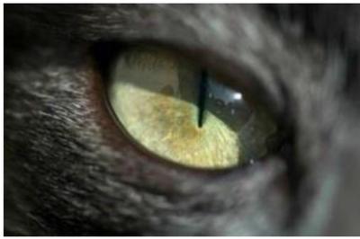 Night Vision Technical Support — verified service provider in Lapaz, Accra